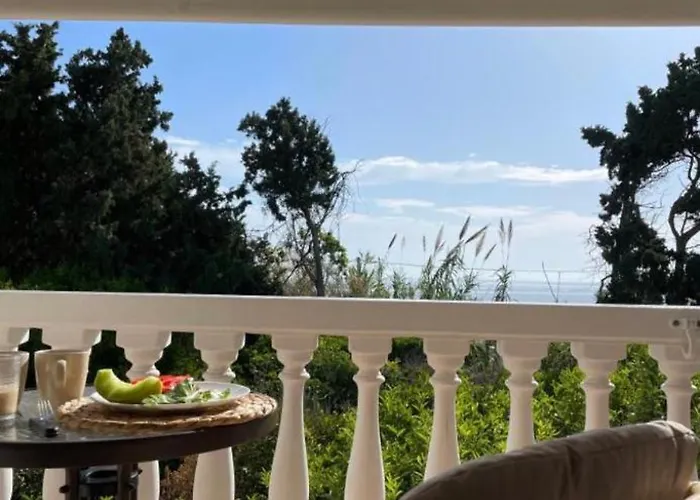 Afroditi Junior * 아크앤젤로스