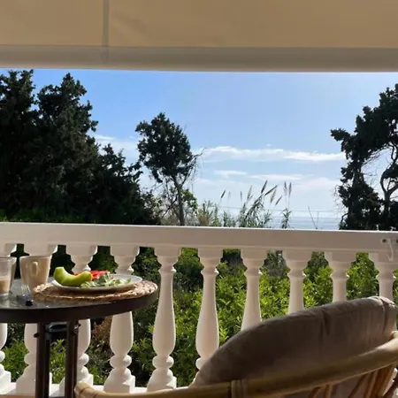 Afroditi Junior * Arhángelosz